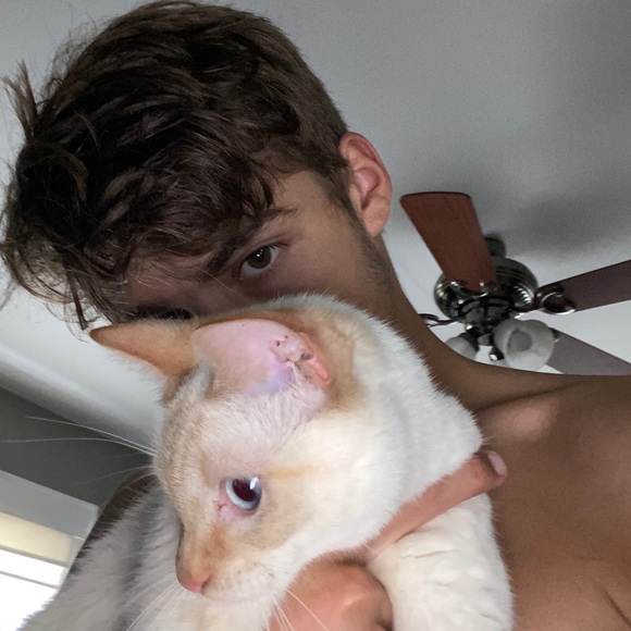 Meet your Posher, Nevan - Picture 2 of 2